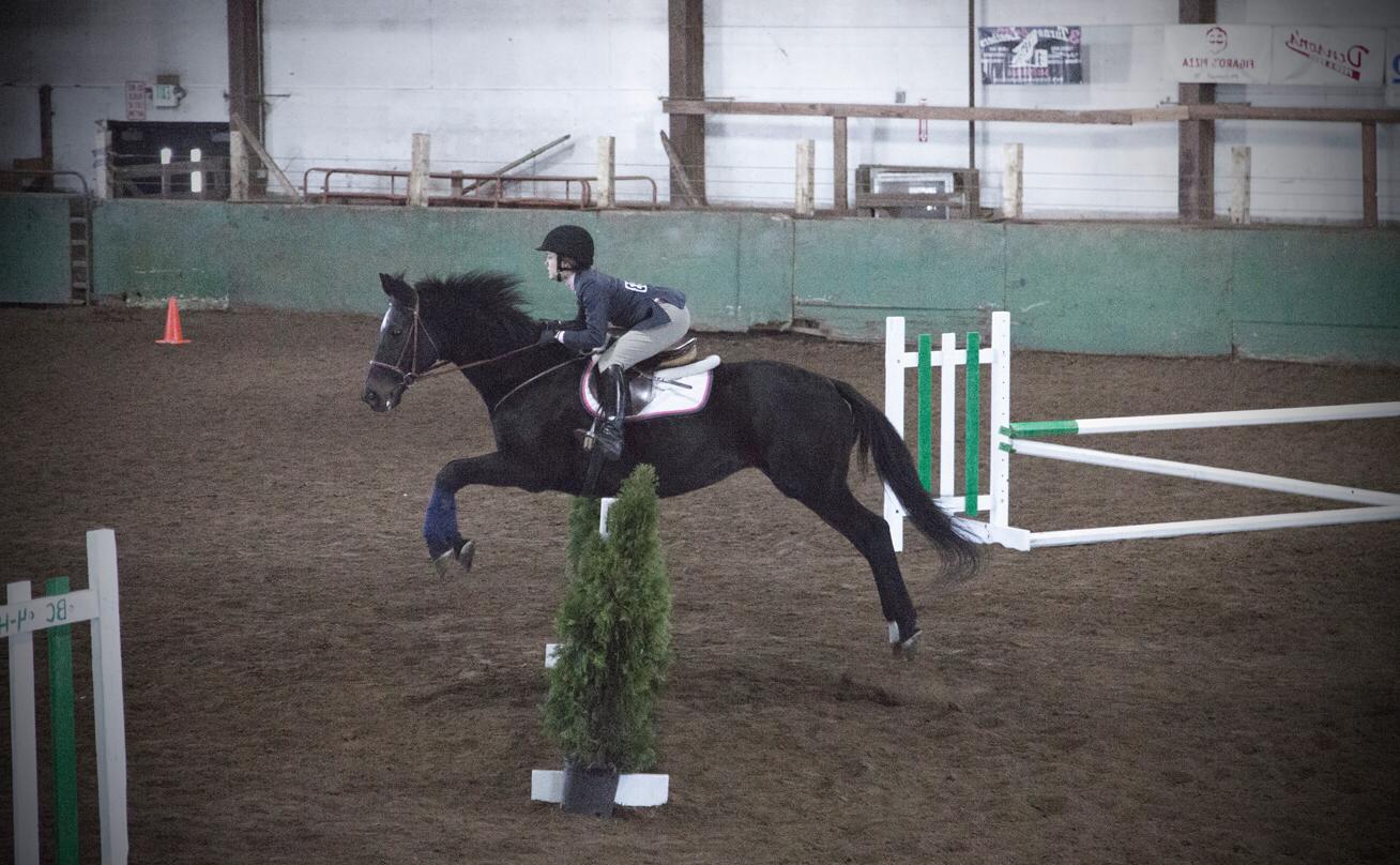 Horse and rider jump over obstacles